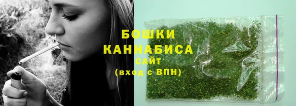 индика Иннополис
