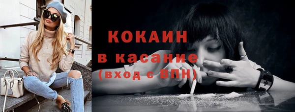 индика Иннополис
