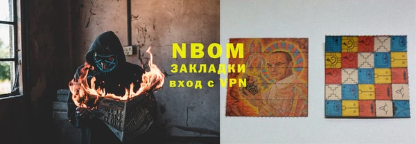 индика Иннополис