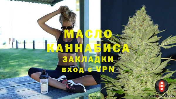индика Иннополис