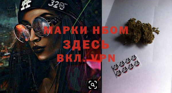 индика Иннополис