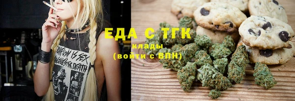 индика Иннополис