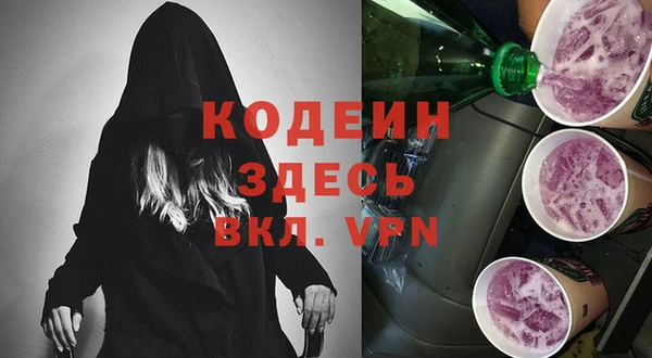 индика Иннополис
